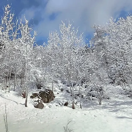 Διαμέρισμα Anna S Cozy With Private Forest, Canopy Terrace & Parking, Near Praebichl