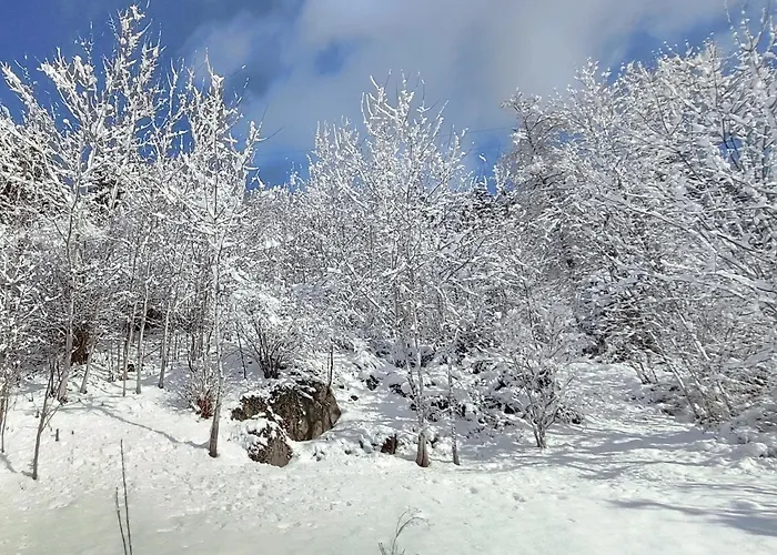 아파트 Anna S Cozy With Private Forest, Canopy Terrace & Parking, Near Praebichl